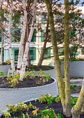 Terrace Tower Amsterdam Zuidas landscape design