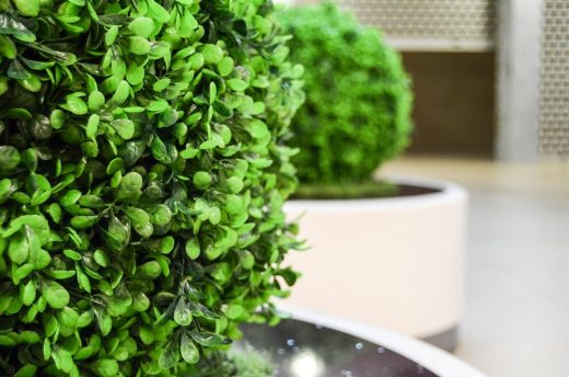 Environmentally Friendly Artificial Plants