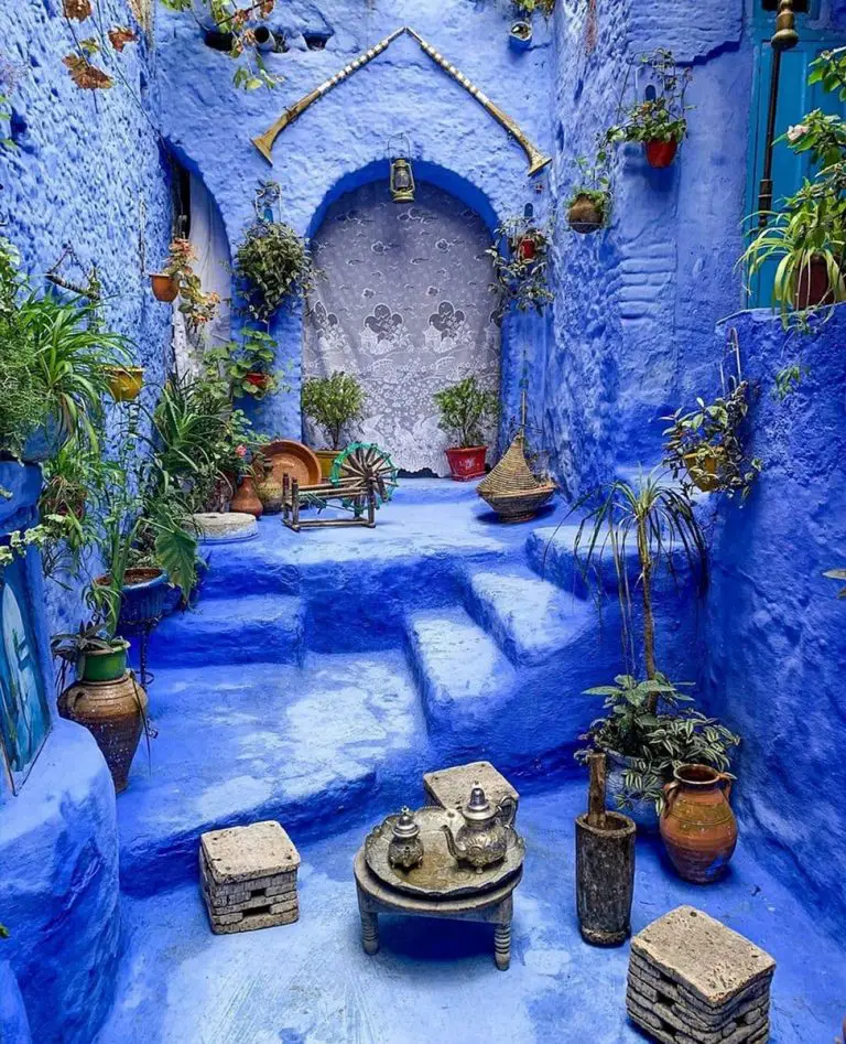 How to grow flowers indoors: houseplants - e-architect
