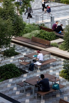 New Macquarie University central courtyard, ASPECT Studios