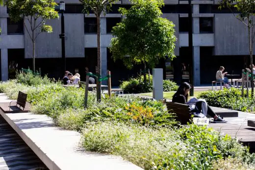 Macquarie University new central courtyard, Sydney landscape