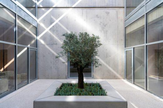 Narbo Via museum of Narbonne building interior olive tree