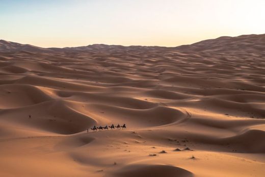 YAC Riyadh Dream Villas Competition - Saudi Arabia desert landscape architecture