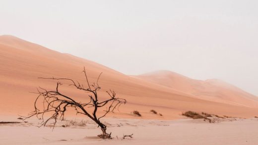 Saudi Arabia desert landscape architecture