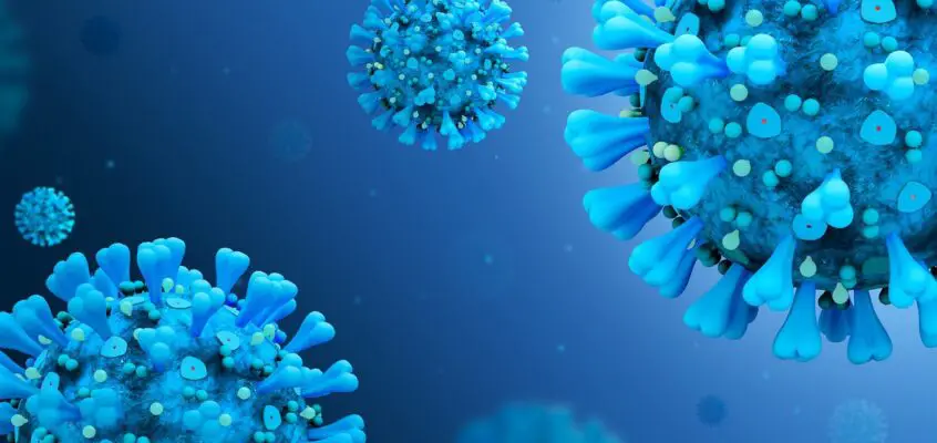Chronicling the COVID-19 pandemic
