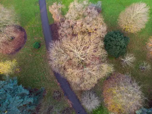 Treehouses at Kew Design Competition