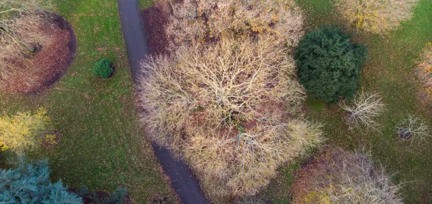 Treehouses at Kew Design Competition Shortlist