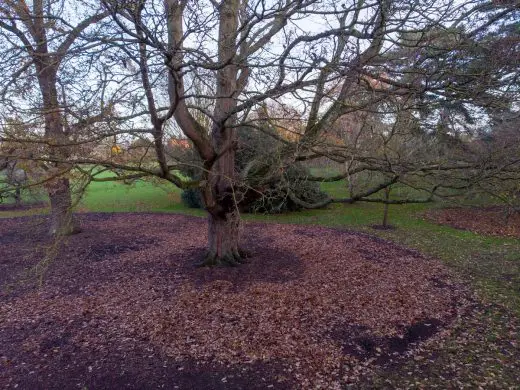 Treehouses at Kew Design Competition Tree 1