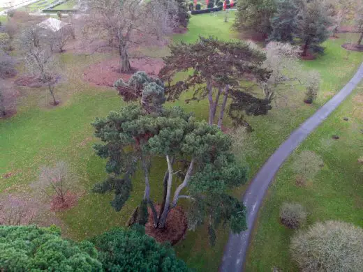 MoA Treehouses at Kew Design Competition London Tree 2 aerial