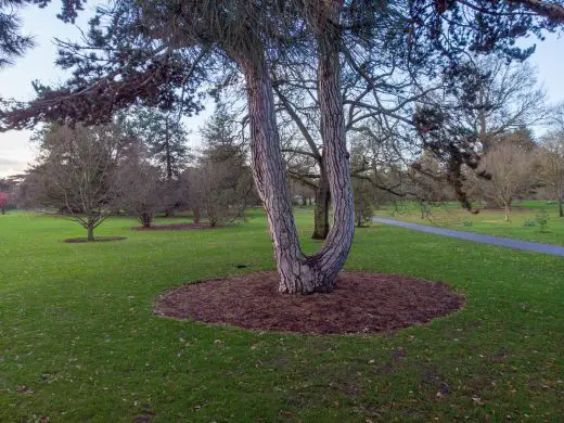 MoA Treehouses at Kew Design Competition London Tree 2