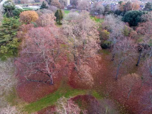 MoA Treehouses at Kew Design Competition London Tree 3 aerial