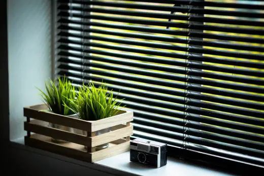 6 of the Hottest Window Blind Trends