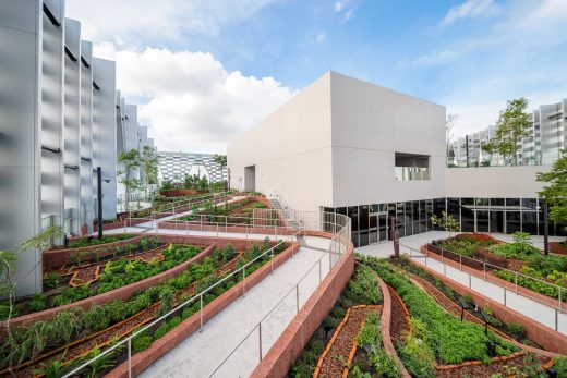 CapitaSpring Singapore tower urban farm