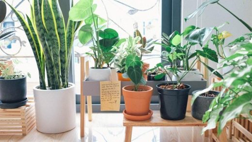 Designing tips for home interior guide
