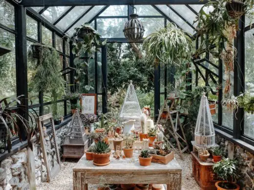 How to choose the right greenhouse for your garden