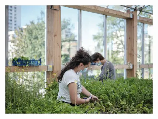 Railway Farm in Paris garden plants