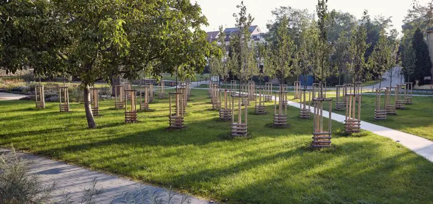 Revitalisation of Husův Park, Prague