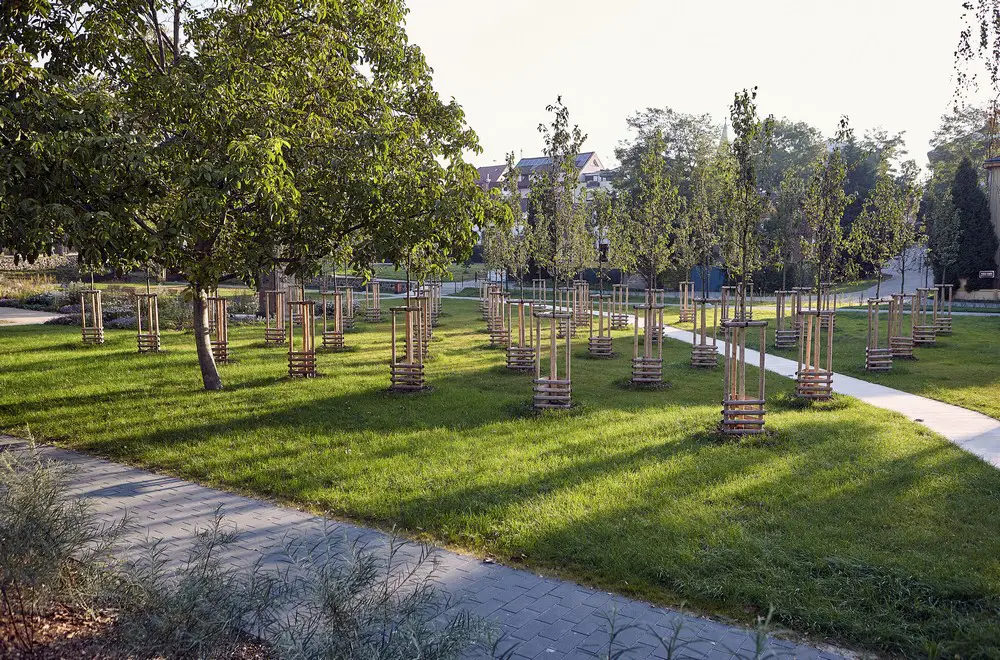 Revitalisation of Husův Park Prague