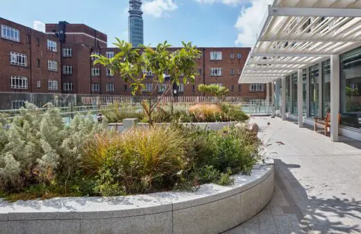 UCLH Proton Beam Therapy Centre London garden