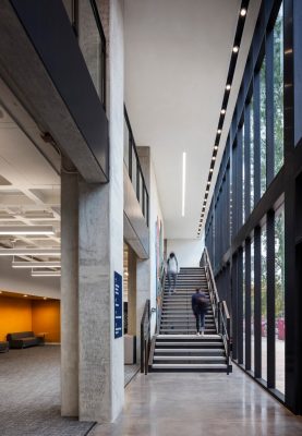 University of Arizona Library Renovations