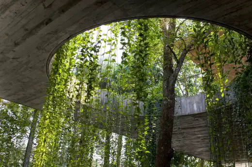 Ha Noi house tree hole in roof Vietnam