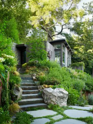 Mill Valley Cabins California