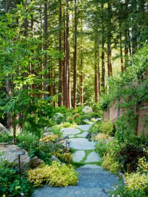 Mill Valley Cabins California