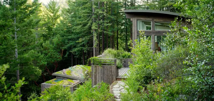 Mill Valley Cabins, California