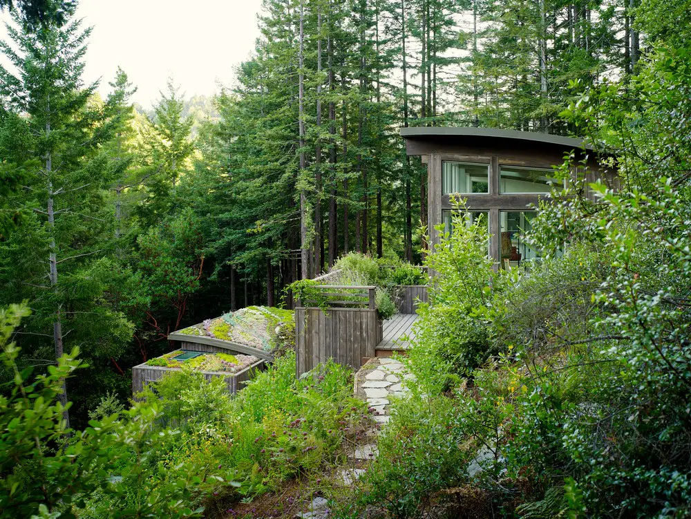 Mill Valley Cabins California