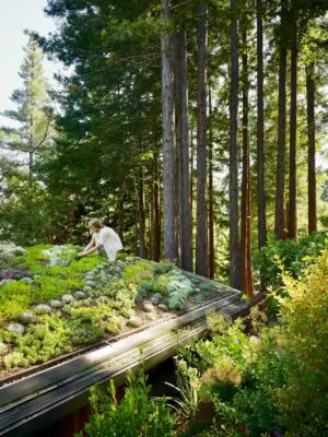 Mill Valley Cabins CA