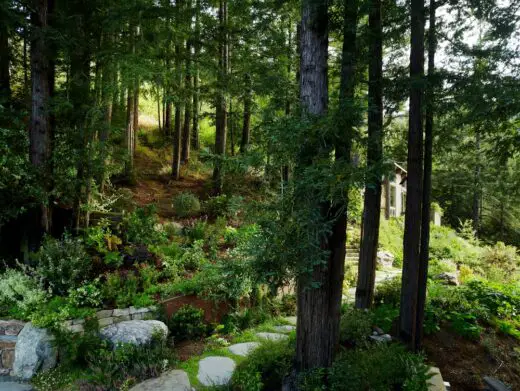 Mill Valley Cabins California