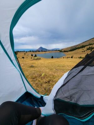 Surprising role of clear tarps in battle against COVID-19