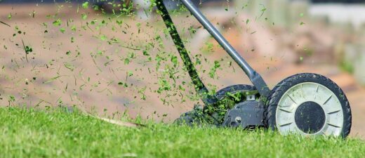 Lawn mowing - 3 home projects to leave for the professionals