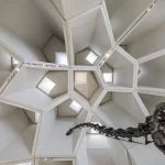 Natural History Museum Abu Dhabi UAE