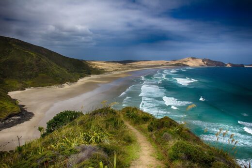 New Zealand beach landscape waves