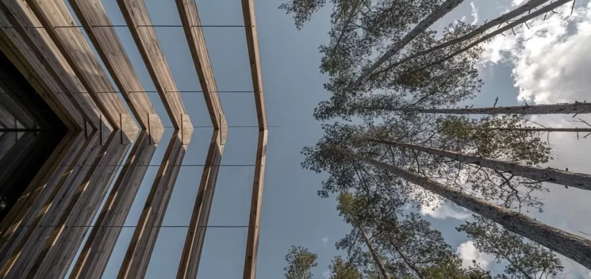 Hire Ukrainian Landscape Architects displaced by war