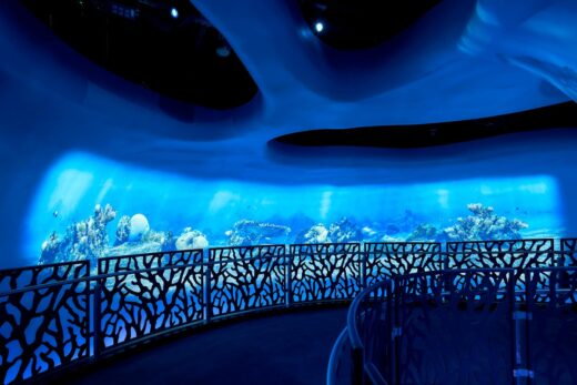 Grimshaw-designed immersive exhibit at Terra, the Sustainability Pavilion at the Dubai World Expo