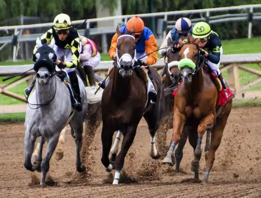 Great Horse Racing, Better Course Architecture