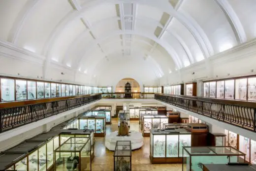 Natural History Gallery, Horniman Museum and Gardens in Forest Hill