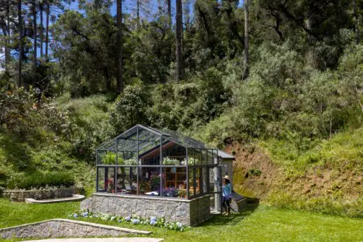 Araucária Greenhouse Abernéssia São Paulo