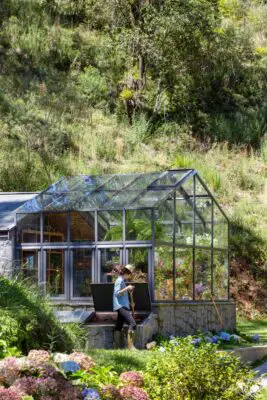 Araucária Greenhouse Abernéssia