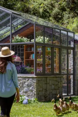 Araucária Greenhouse Abernéssia São Paulo