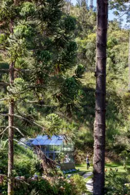 Araucária Greenhouse SP