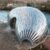 Hydro Ness, Inverness building design