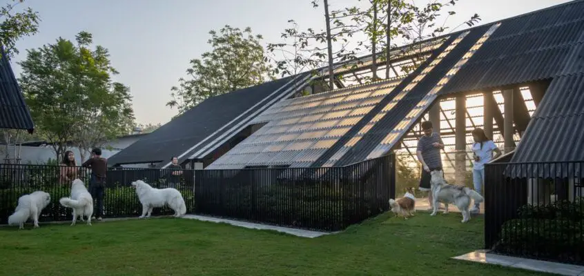 Dog / Human House, Nakhonpathom Thailand