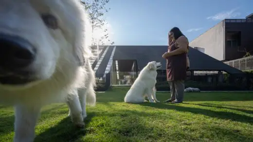 Dog / Human House Thailand