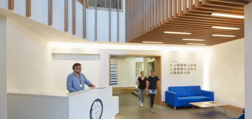 London Hospital Buildings – Health Architecture
