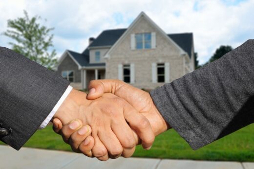 Expect from a Real Estate Agent Before Buying