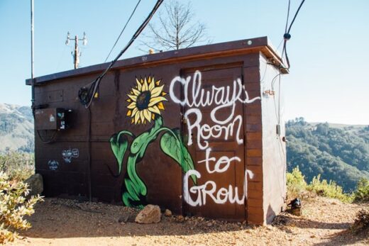 How to Set Up an Outdoor Grow Shed for Cannabis
