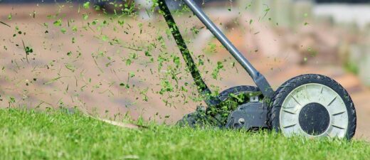 Importance of a healthy lawn mower